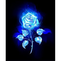 Blue Rose Navy Meeting Hall