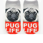 Pug squad 9000