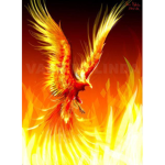 The Soaring Phoenixes