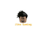 Group for Zikogaming01