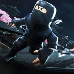 Ninjas Donation Game