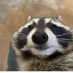 x Good Vibez x