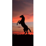 Horsey love