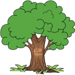 Terra Parks