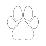 TeamAnthro