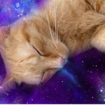 Meow meow Mia
