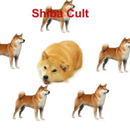 Shiba Cult
