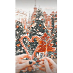 -Roses Beauty-