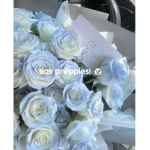 ~ lias preppies ~