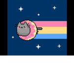 Pusheen fans for life