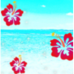 -orangebIossoms-