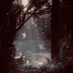 ~{Dizzy Auroras}~