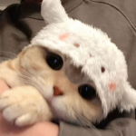moonvi$ta