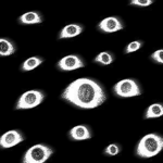 eyesight