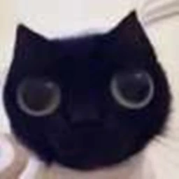 SUS PVP icon
