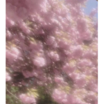 _FERAL_