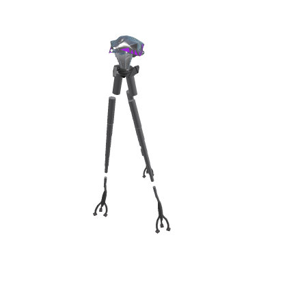 Tripod Ragdoll