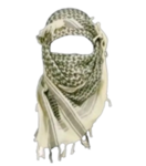 praıse ıraq