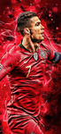 CR7 fanbase