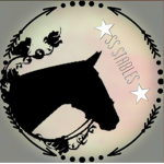 Star Struck Equestrian Center
