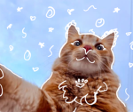 +-l Lulu kittens l-+