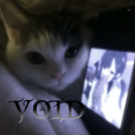 VOIDED NONSENSE