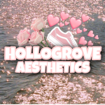 hollogrove aesthetics