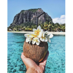 lil’ coconuts