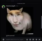My dear UwU