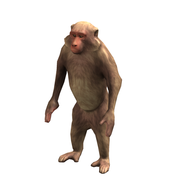 Funny Monkey Suit (✔)