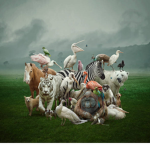 The best animals group123