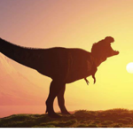 Land Of Extinction