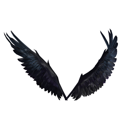 Dark Wings of the Wanted Roblox item