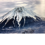 [BF] Bestfriend