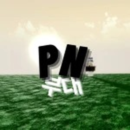 PN부대