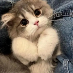 ★★★🧁★★★