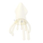 Transparent Squid