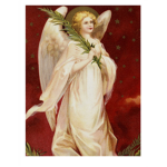 The Anime Angels