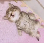 .tooasleep