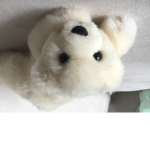 Freddyfishy fan group