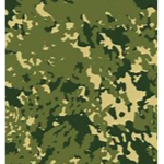 The Jailbreak Military Team