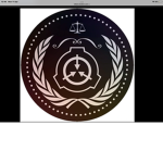 [FLC] foundation leadership council [scpf]