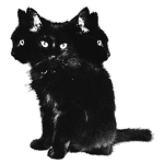 <3 kitty club <3 Group Thumbnail