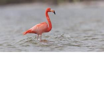 inside off,a tredure