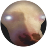 ??