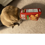 Lulu Loves Cheese-its