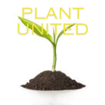 untitled plant group