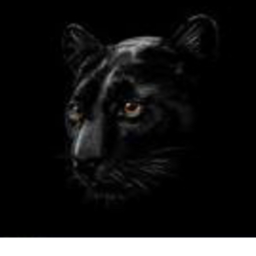 Sher gamers combat