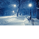 Abbys Wonderful Winter Wonderland