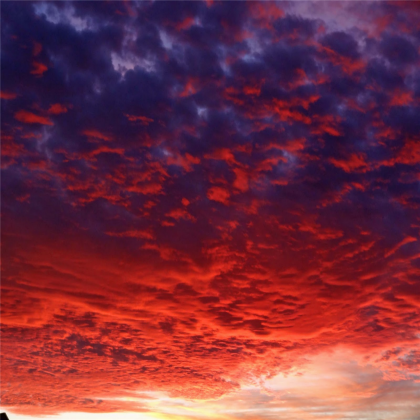 Skybox 8
